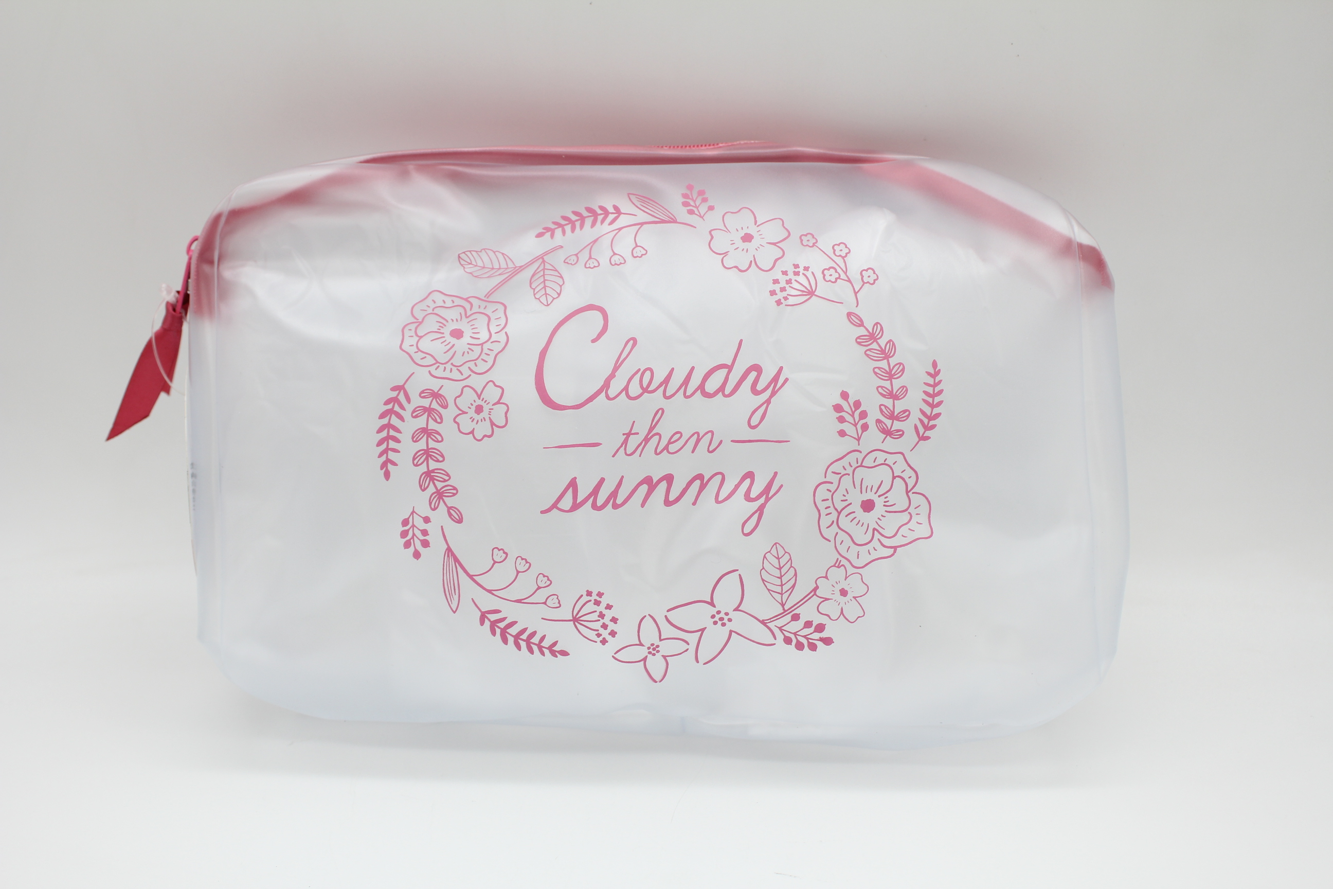 クリアーポーチL