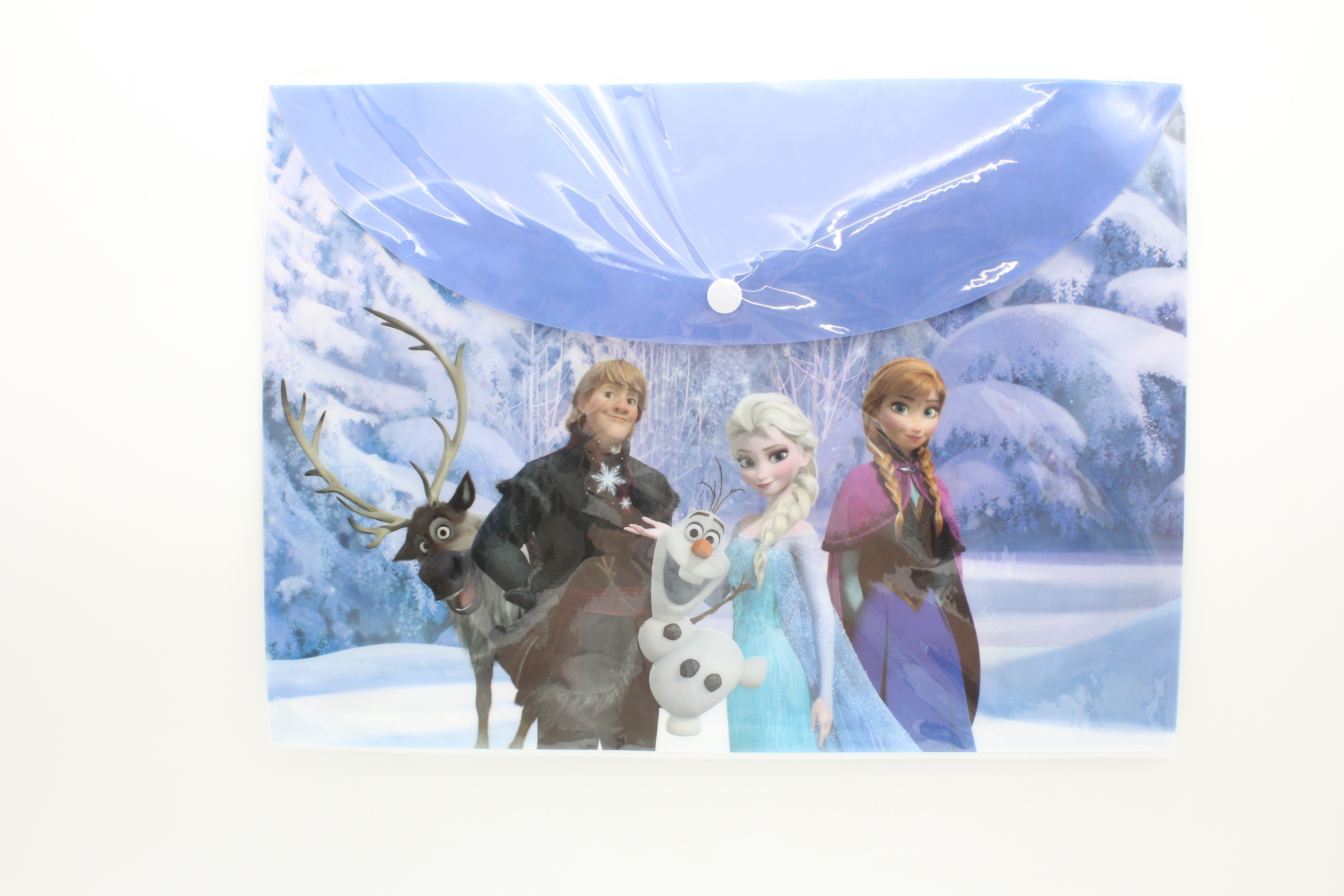 ドキュメントファイル アナと雪の女王