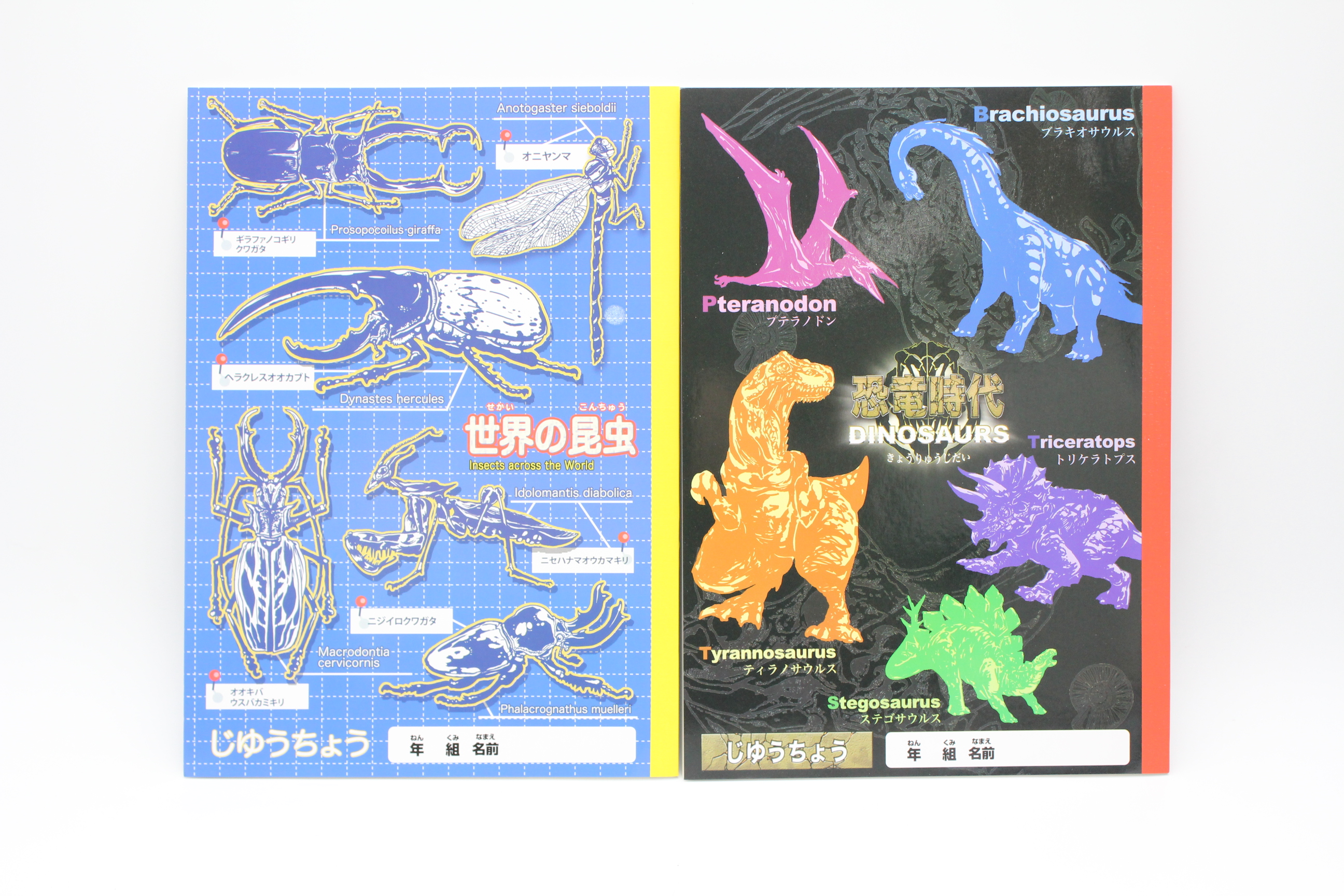 じゆうちょう　(男児)