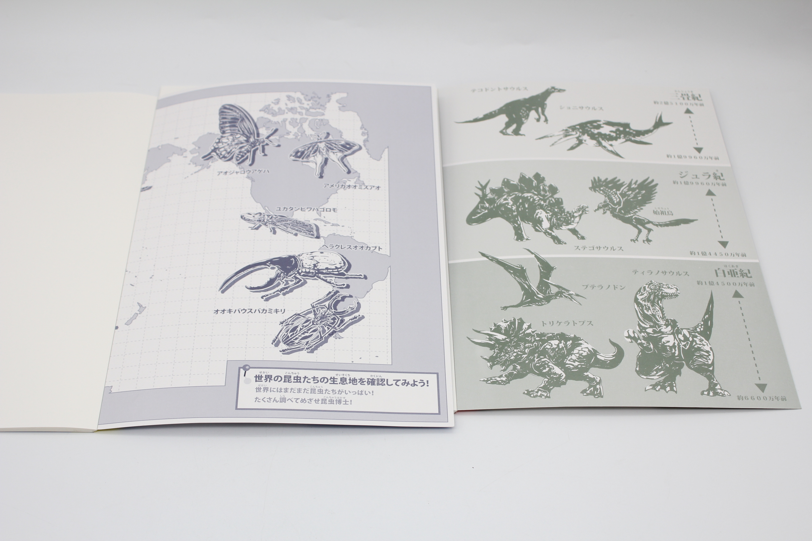 じゆうちょう　(男児)