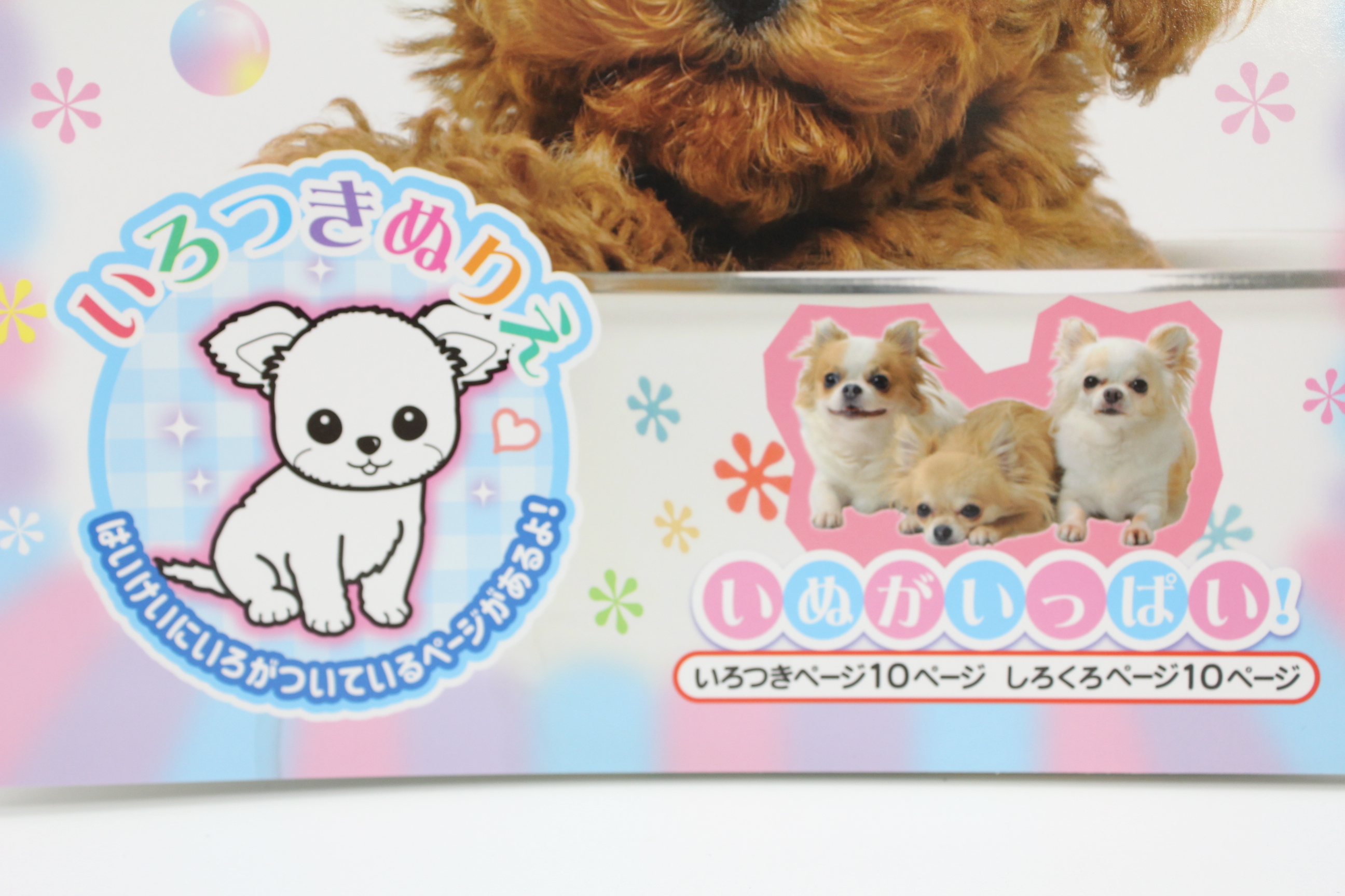 いろつきぬりえ　いぬがいっぱい！