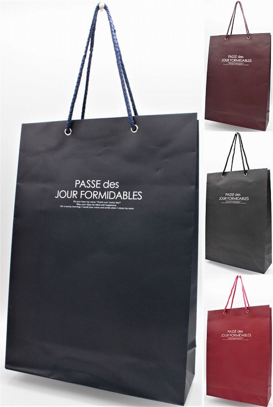 ペーパーバック Ｌ　(カラー）