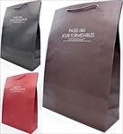 ペーパーバック ＬＬ　（カラー）