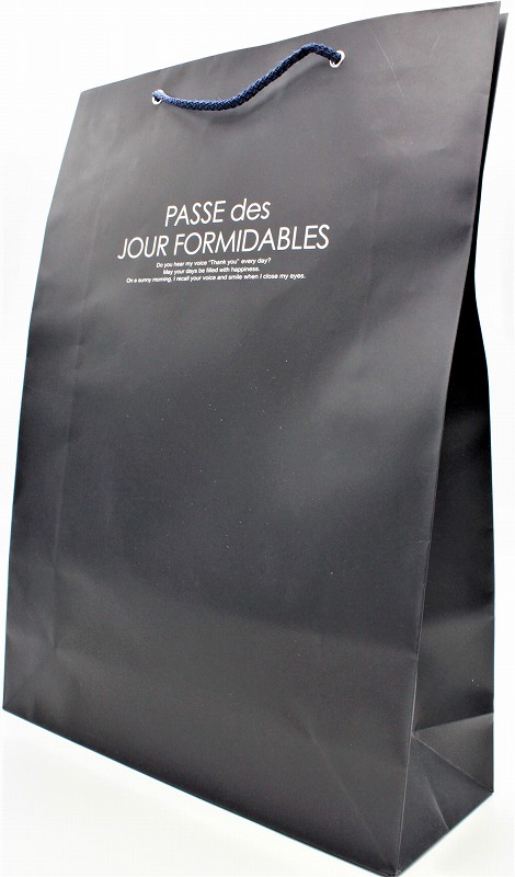 ペーパーバック ＬＬ　（カラー）